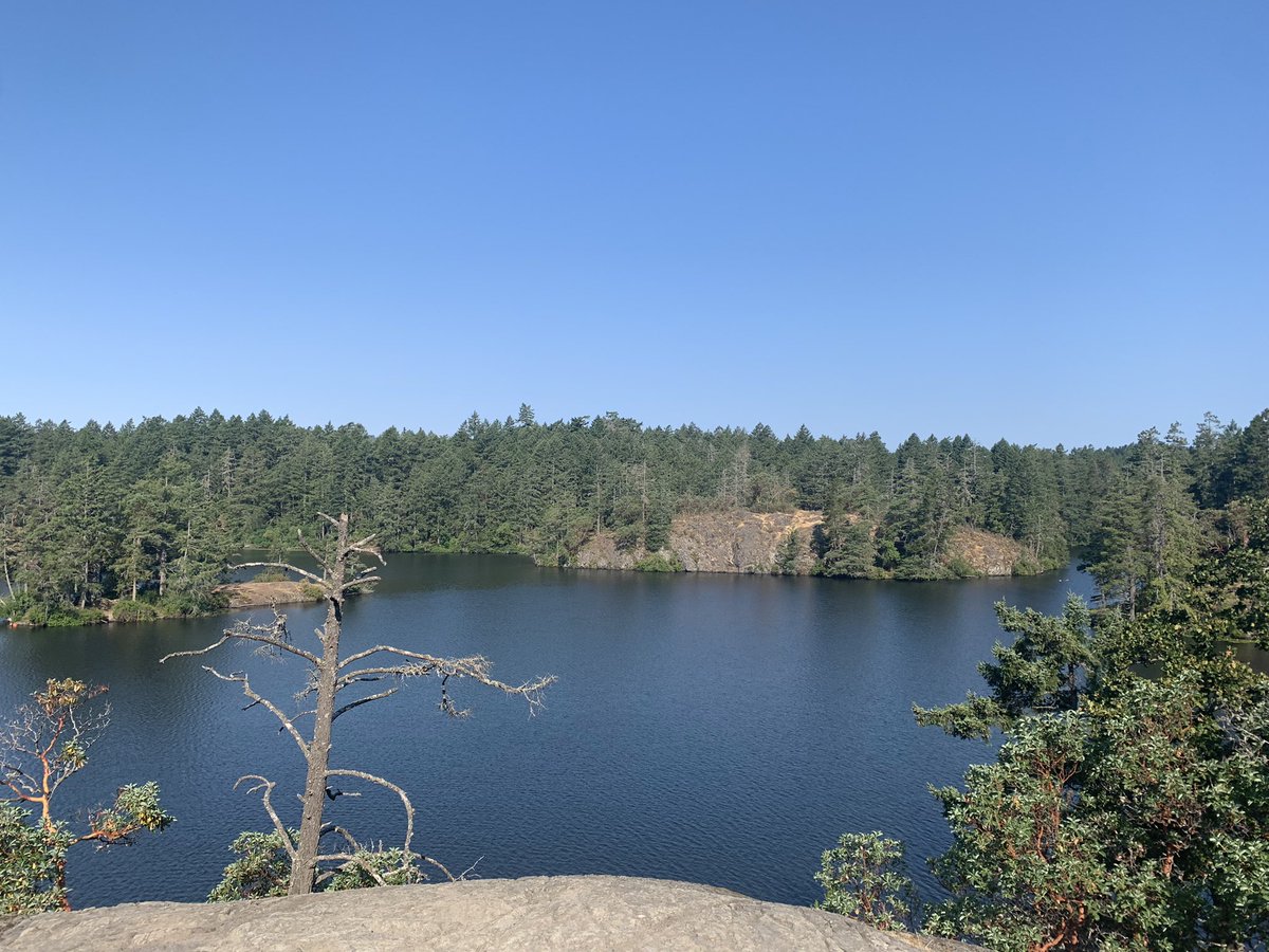 Summer means taking time to recharge. I’m starting each day with the intention of doing something to take care of myself. Today I wogged Thetis and took time to appreciate this view….and maybe catch my breath! #summer2021 #vancouverisland #thetislake #selfcare #summerbreak