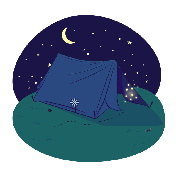 Scouts Proel 334 tweet media