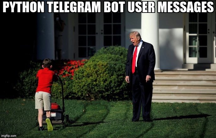 overflow_meme's tweet image. python telegram bot user messages stackoverflow.com/questions/6831… #python #pytelegrambotapi #pythontelegrambot #telegram #telegrambot