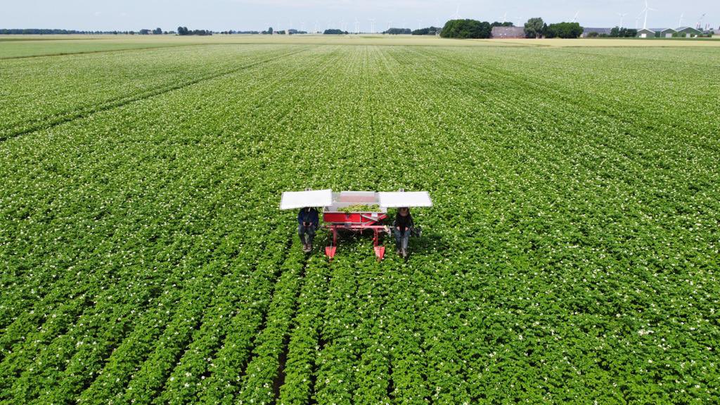 Hilde Coolman tweet media