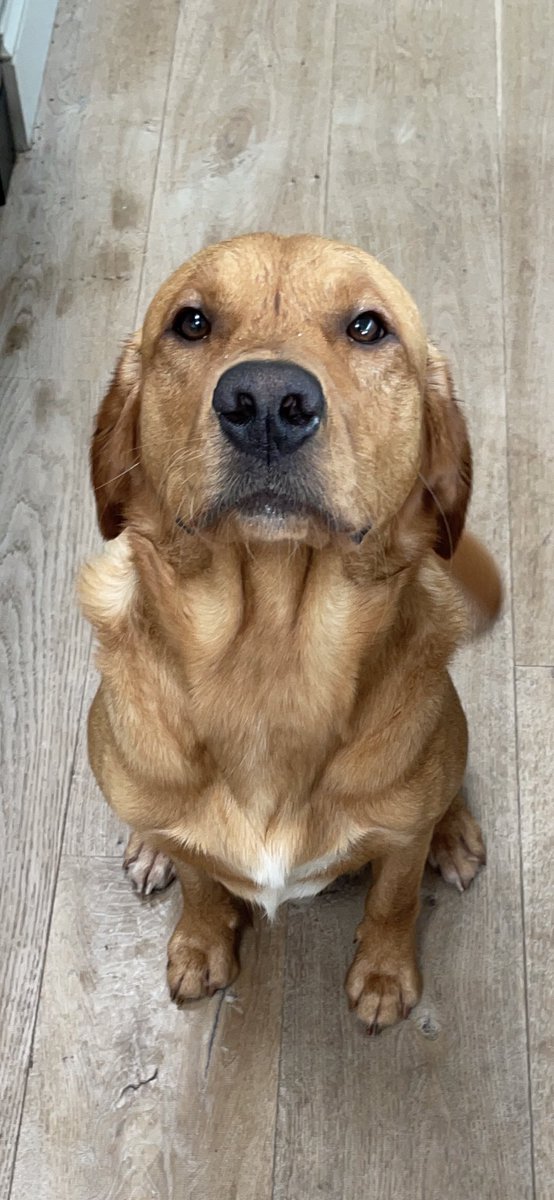 We are ready and waiting with anticipation #SO EXCITED