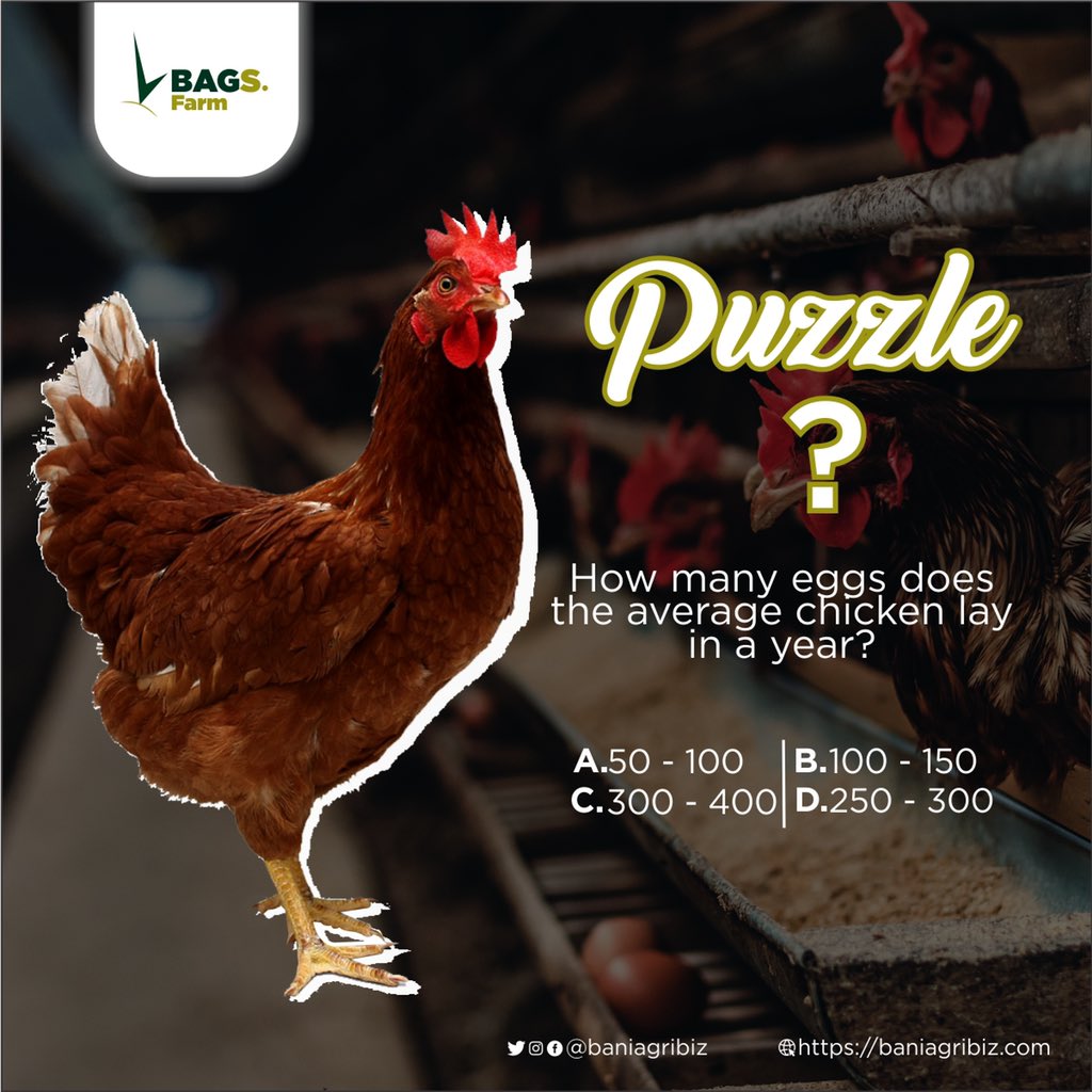 baniagribiz's tweet photo. To win. Try not to use google 🙃
Answer correctly
Ensure you’re following
Follow @baniagribiz on IG
RT and RT pinned tweet.
Tag atleast 2 people and have them follow and RT
Winners will be picked randomly by 10pm
Good luck 👍
#WeAreAllLearning #wizkid #OmahLay #bagsfarm #burna https://t.co/IpXgdTR0dD