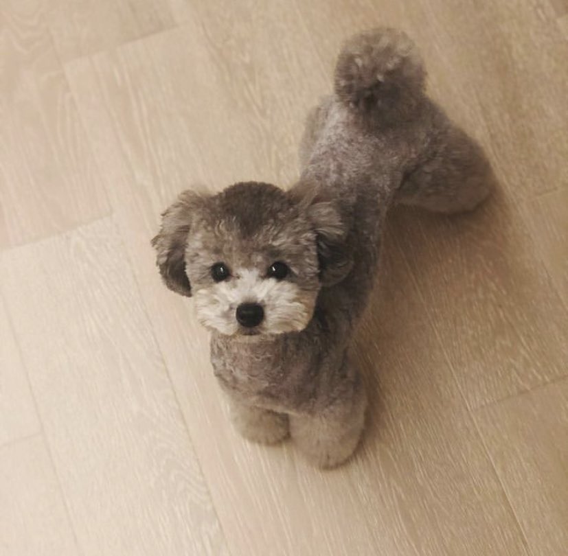 taengookr's tweet photo. 𝐙𝐞𝐫𝐨. ♡ https://t.co/RRIvIXufkq
