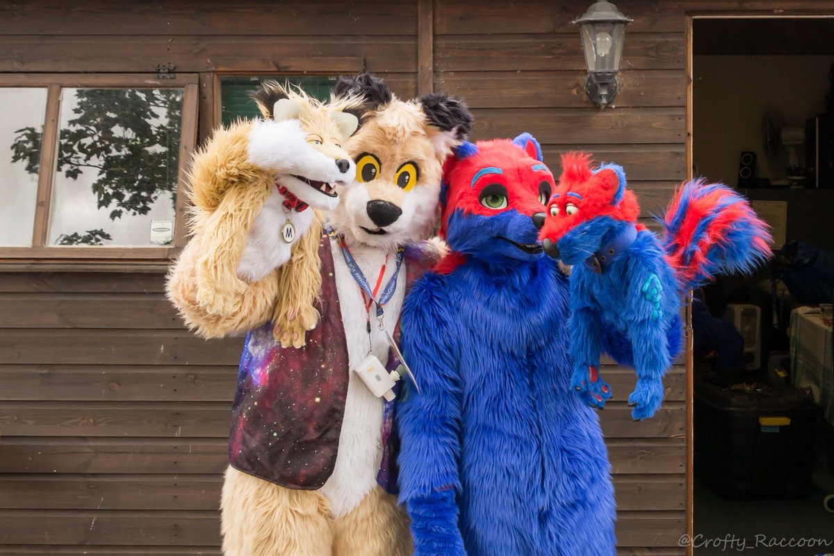 Crofty_Raccoon's tweet photo. It's fursuit Friday so I would like to share some photos I took of suiters raising money for Vale Wildlife Hospital @wildliferescuer at there recent open day.  @FrostyWuffle  @SkunkMantra  @MuddyTheFox  @KirkzerWright @Draegarth  and vales own mascot. https://t.co/AguhngcdtD