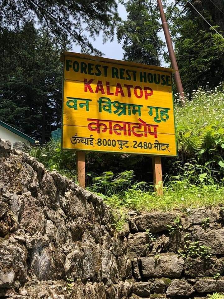 HumHaiHimachali's tweet photo. #Kalatop #forest #dalhousie #khajjiar #weather https://t.co/M4ZoH8BAVw