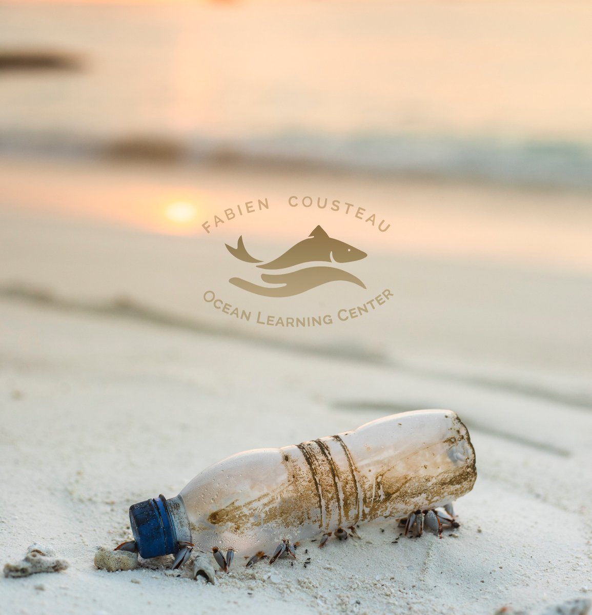 Fabien Cousteau Ocean Learning Center tweet media