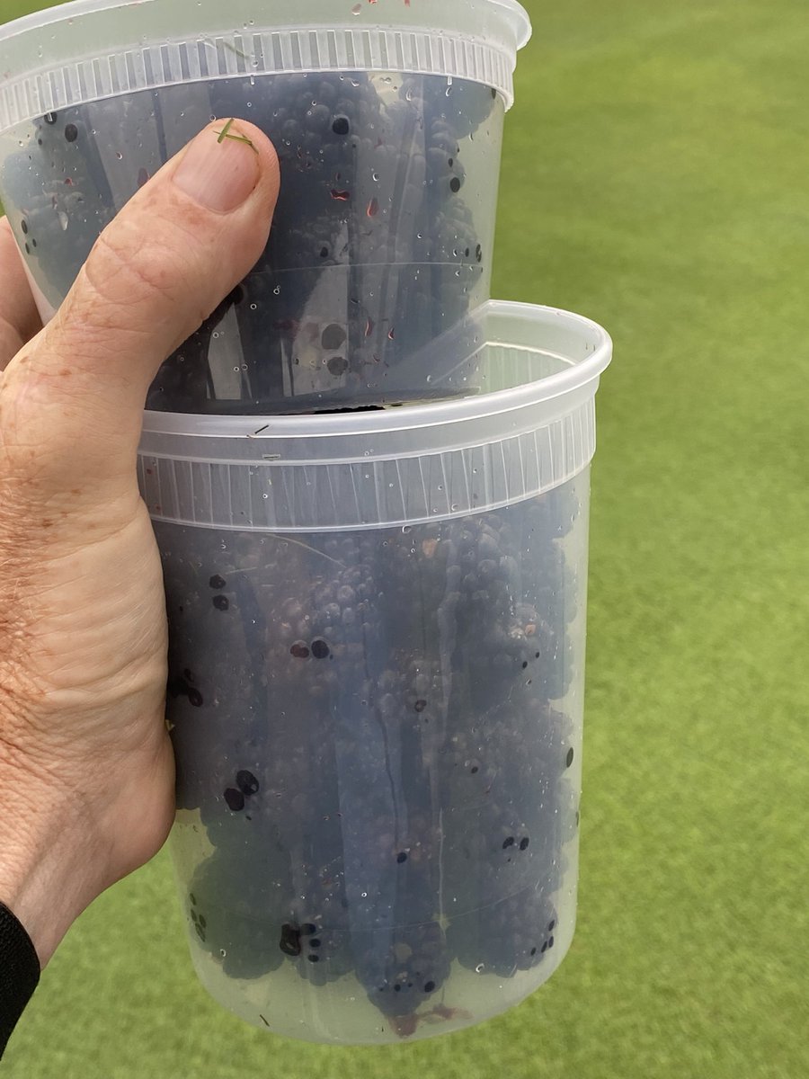 josh pope tweet media