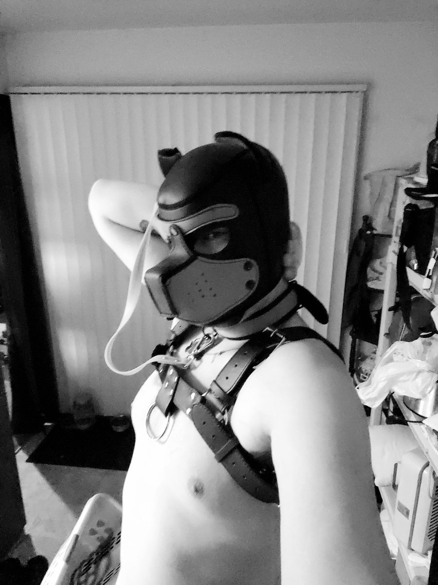 Moose53353085's tweet photo. Pantpantpant ๐พ๐ #pup #pupplay #leather #kinkdotcom https://t.co/7P1u1uKFMO