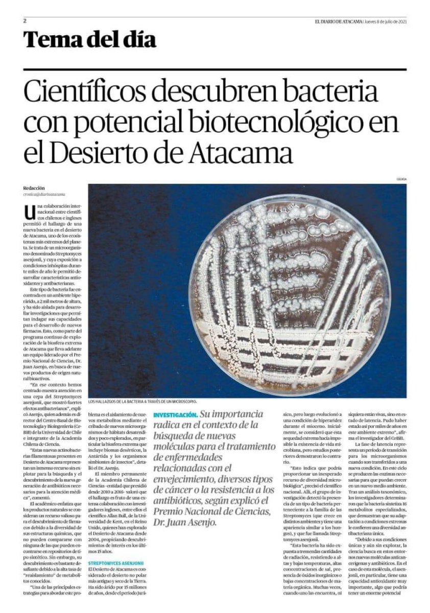 InstitutoBNI's tweet photo. "Estas nuevas actinobacterias...presentes en el desierto de Atacama, representan un un inmenso recurso sin explotar para la búsqueda y generación" de nuevos #antibióticos necesarios para la atención médica" comentó el Dr. Juan Asenjo sobre este descubrimiento en el @diarioatacama https://t.co/7gDuob4b7K