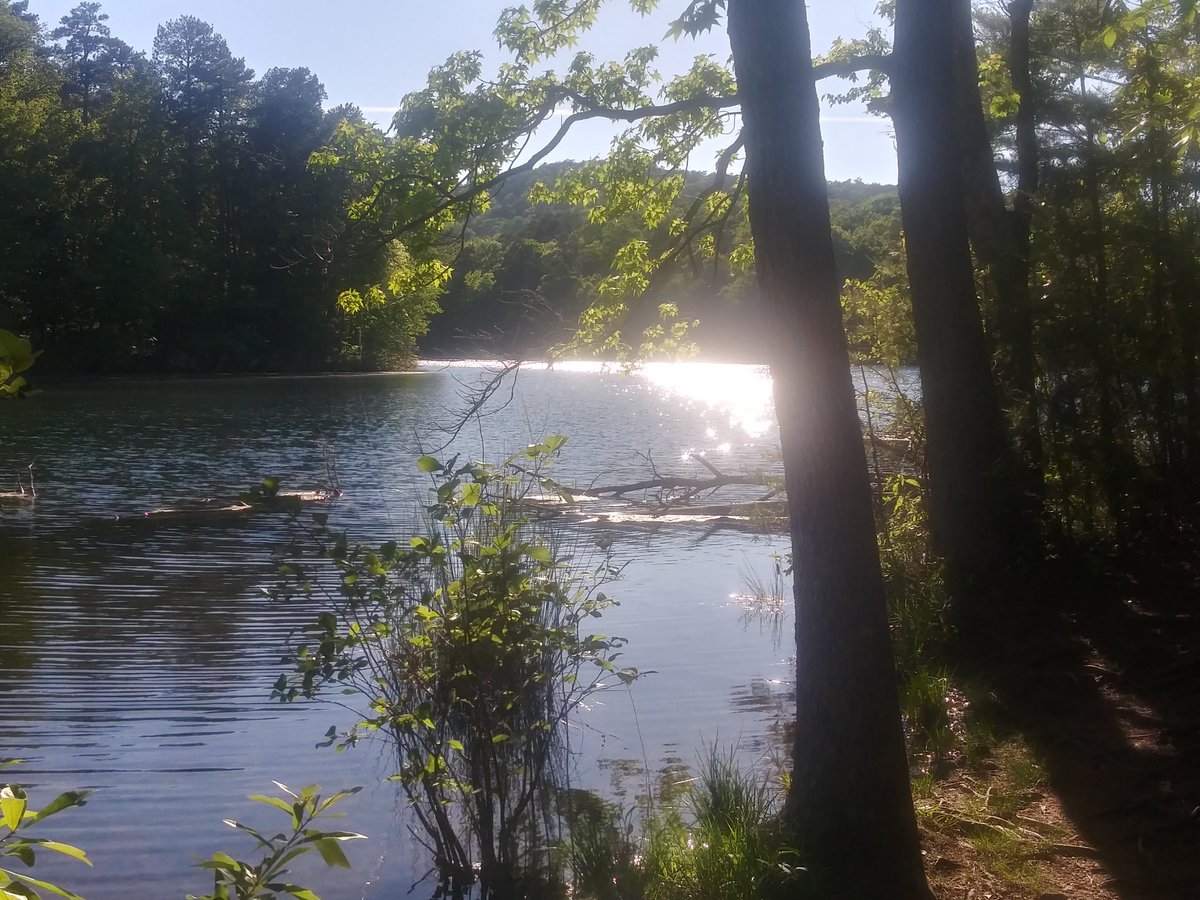 Naked_Determina's tweet image. #Friday pm #hike.
Gotta do something to stay fit. 
I am still nervous about going to the gym.
#ParisMountain statepark.