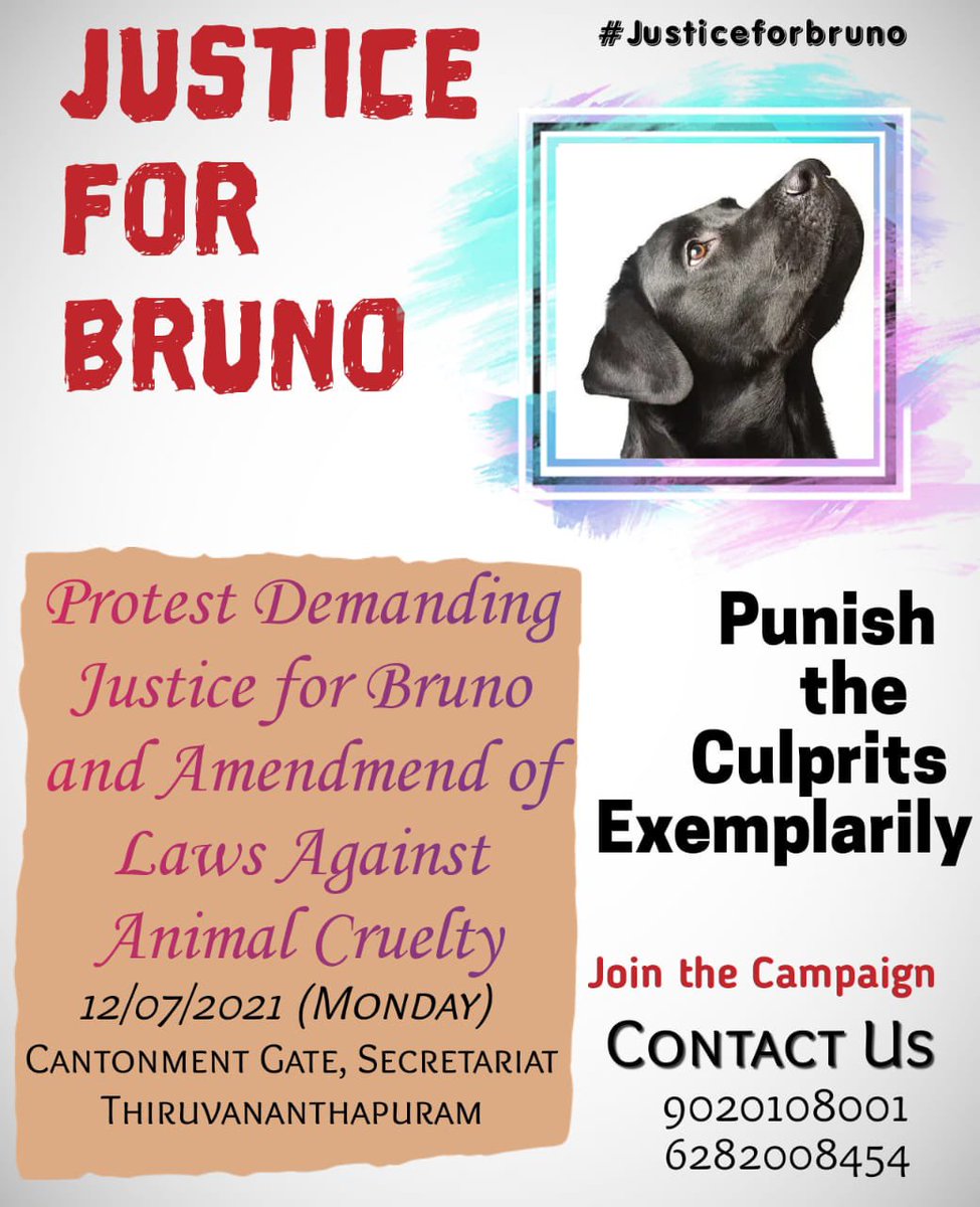 Pfa_Tvm's tweet photo. 11:30 in the morning. 
Following all covid protocols. 
#JusticeForBruno #nomore50 https://t.co/rgQ3MHeNK7