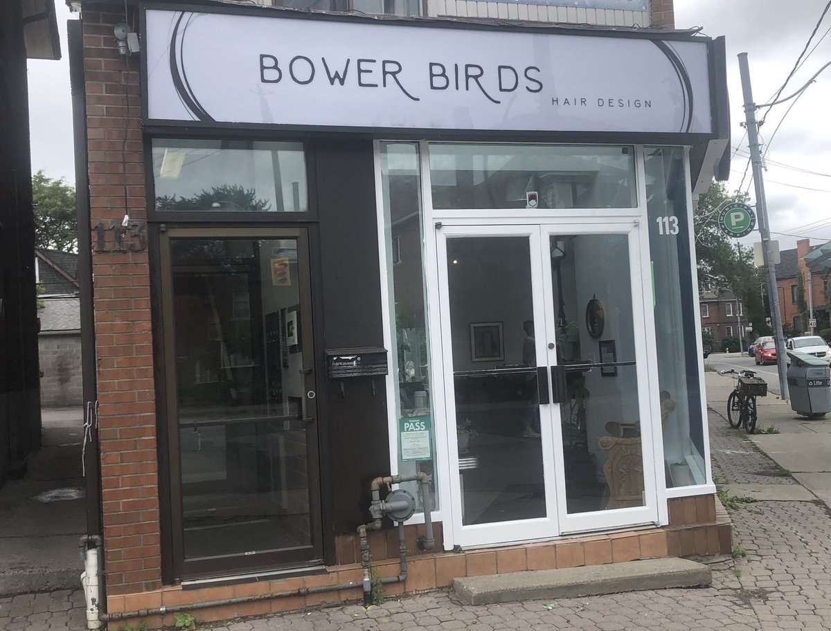 BowerBirdsHair tweet media