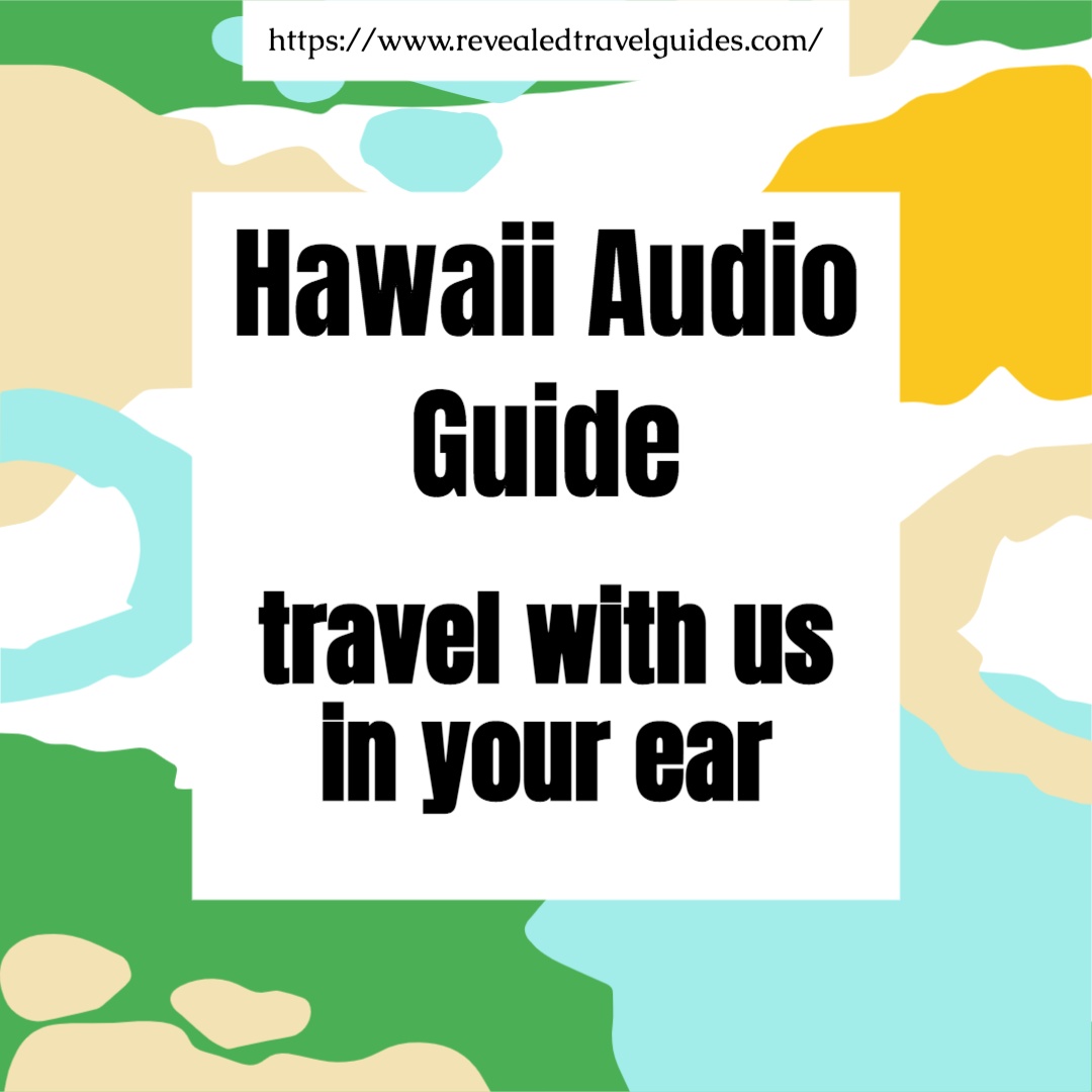 Revealed Travel Guides tweet media