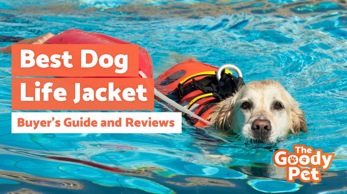 TopLineFL's tweet image. Does your #dog love to swim in the pool, but struggles with the extra weight of wet fur? If looking for a dog life jacket,  @thegoodypet has done the research. Check out their comprehensive guide: thegoodypet.com/best-dog-life-…