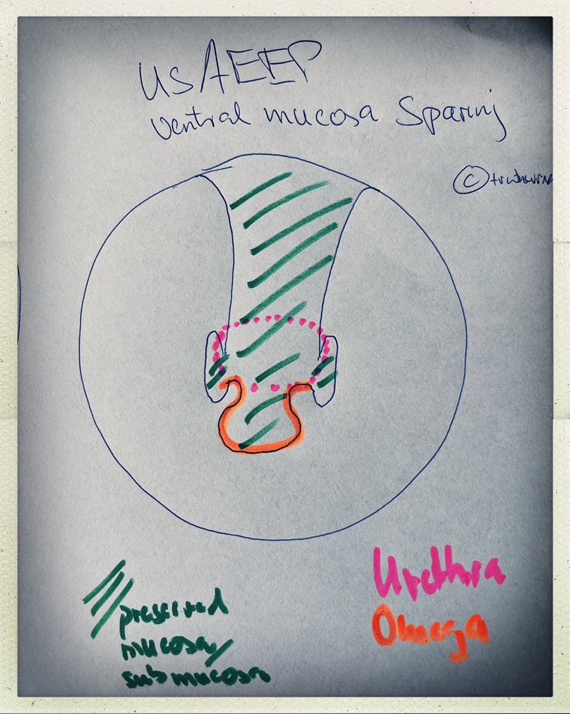 Thomas RW Herrmann tweet media