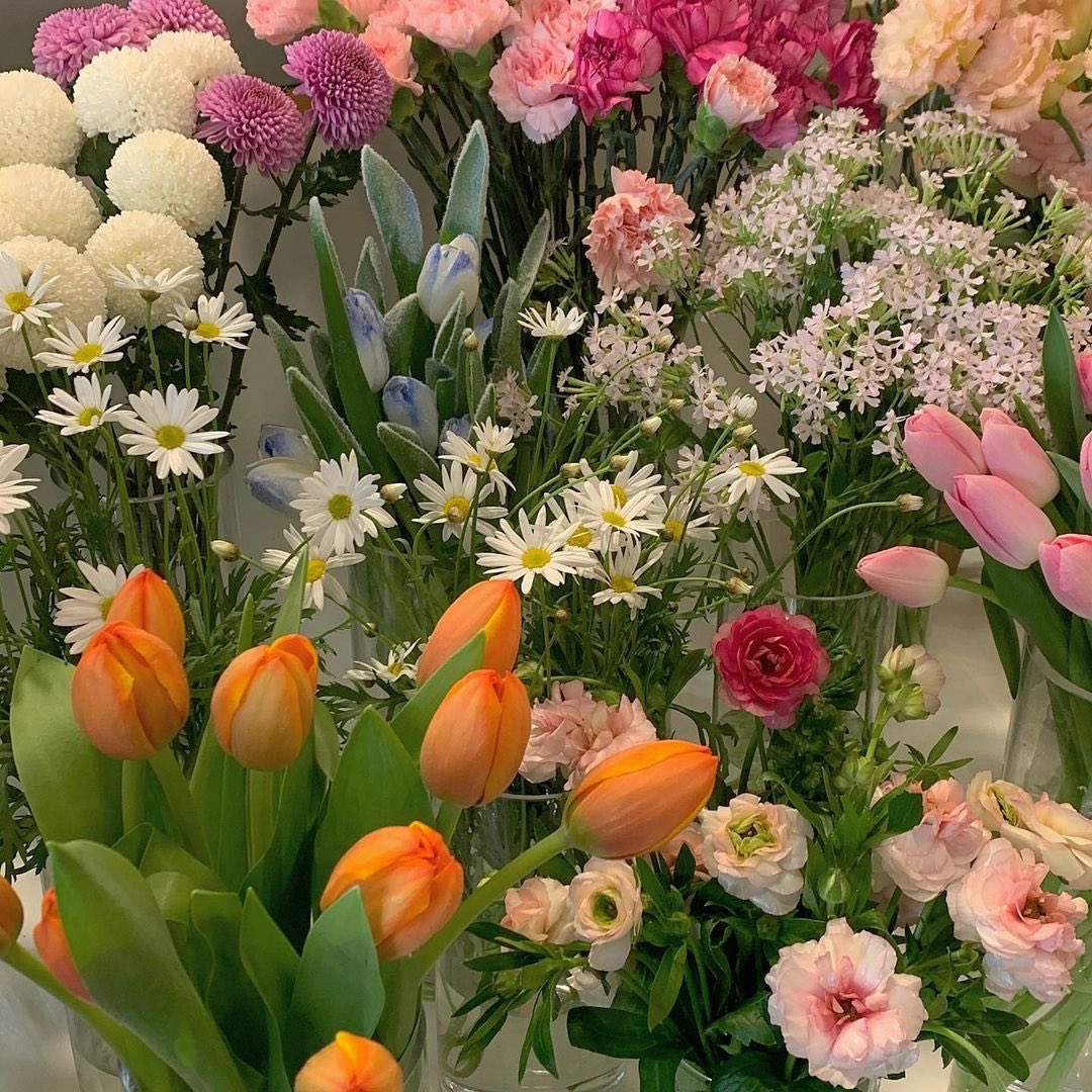 heavenbrat's tweet photo. flowers!!! https://t.co/PhzuHIAyDL