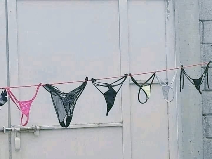 JanethManuel12's tweet photo. Hay que aprocher cuando sale un poco el sol, si no, no se seca la 😋😉🤣🤣
#diadelavar #LavandoAndo
#viernessensual #meme #humor https://t.co/SC4yddBzoQ