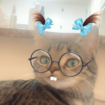 emcatklein's tweet photo. #NewProfilePic https://t.co/wRRnev7lQ6