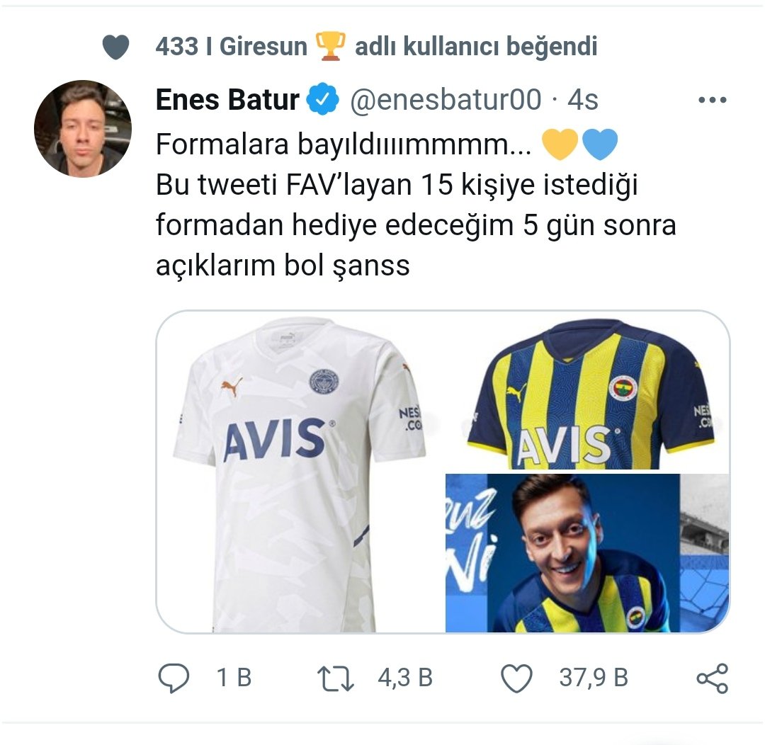 Fenerbahçeli bir fanatik Giresunspor taraftarı miyiz? @433giresun hesabı?