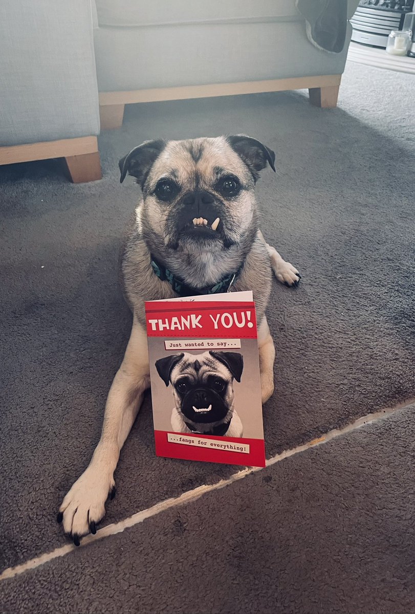 EPSPrep5's tweet photo. Received this lovely card today. I think the dog approves 🐶 @EdenhurstSchool https://t.co/2O81199Ce5