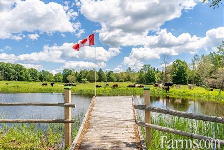OntAg's tweet image. Picturesque hobby/horse farm sitting on 86 acres in Clayton, Ontario ⤵️
farms.com/farm-real-esta…

43 workable acres, 4 ponds, cedar rail fence, renovated 1880s farm house, heated shop, riding pen, outdoor ring - a beautiful property!

#OntAg #FarmRealEstate #AgTwitter #FarmForSale