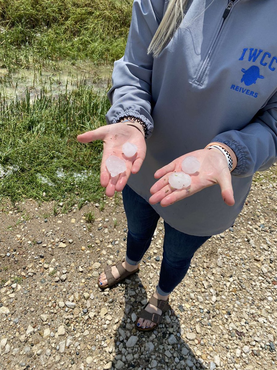 Meredith Adreon tweet media