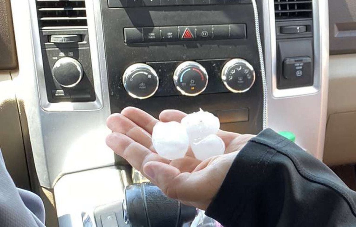 Meredith Adreon tweet media