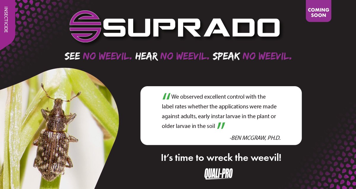 Quali-Pro tweet media