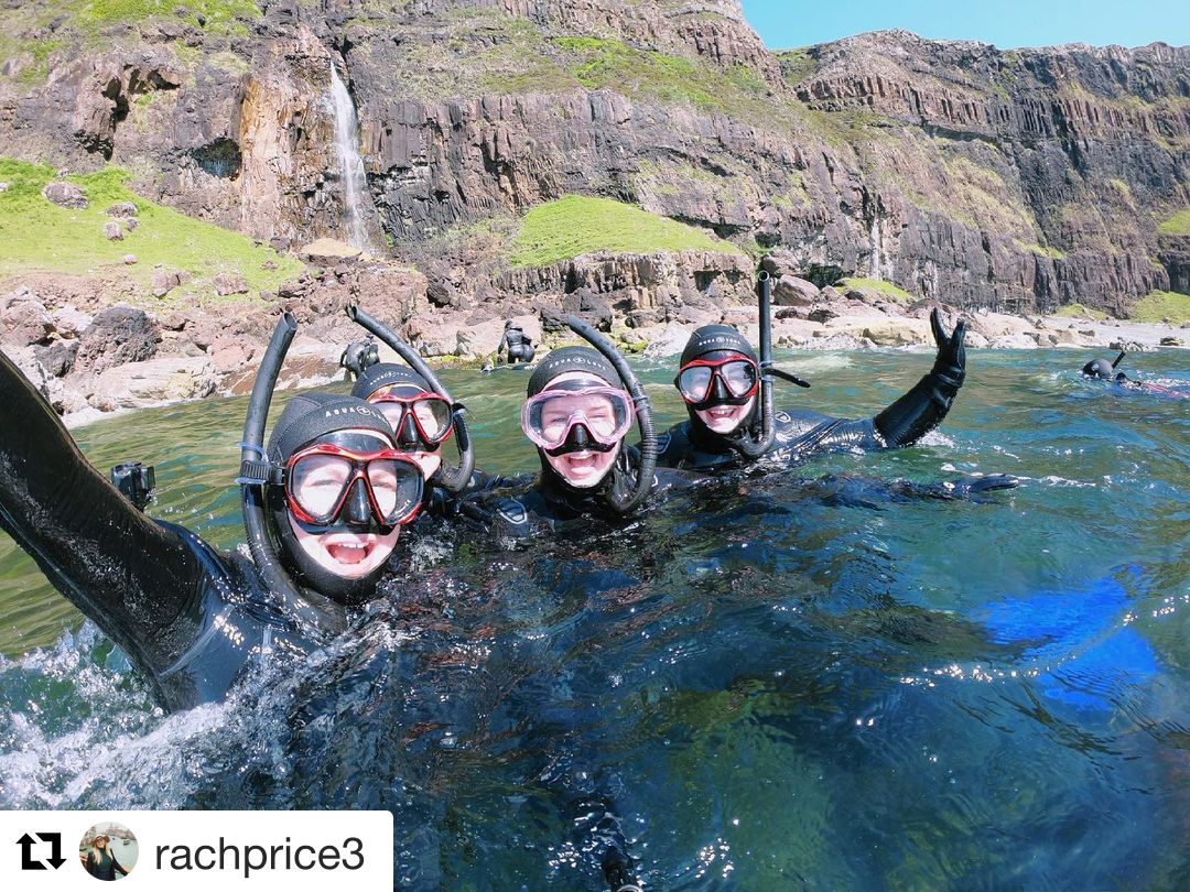 BaskingSharkScotland tweet media