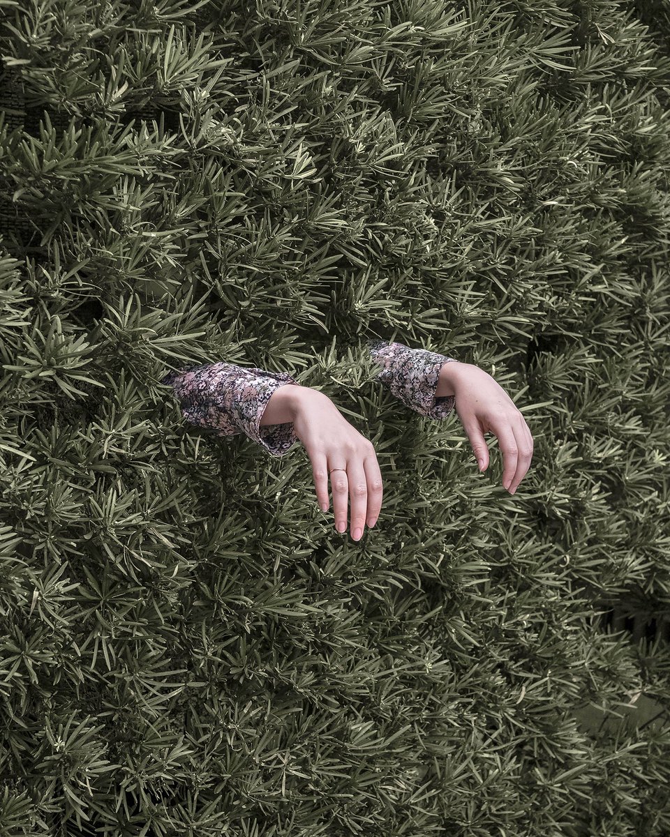 Green is the loneliest color