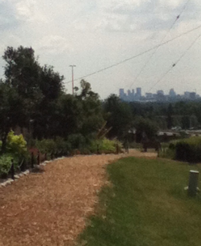 mcgee_suzanne's tweet photo. The view from Silver Spring Gardens #LoveCalgary :-)) https://t.co/5pH1kUyYUt