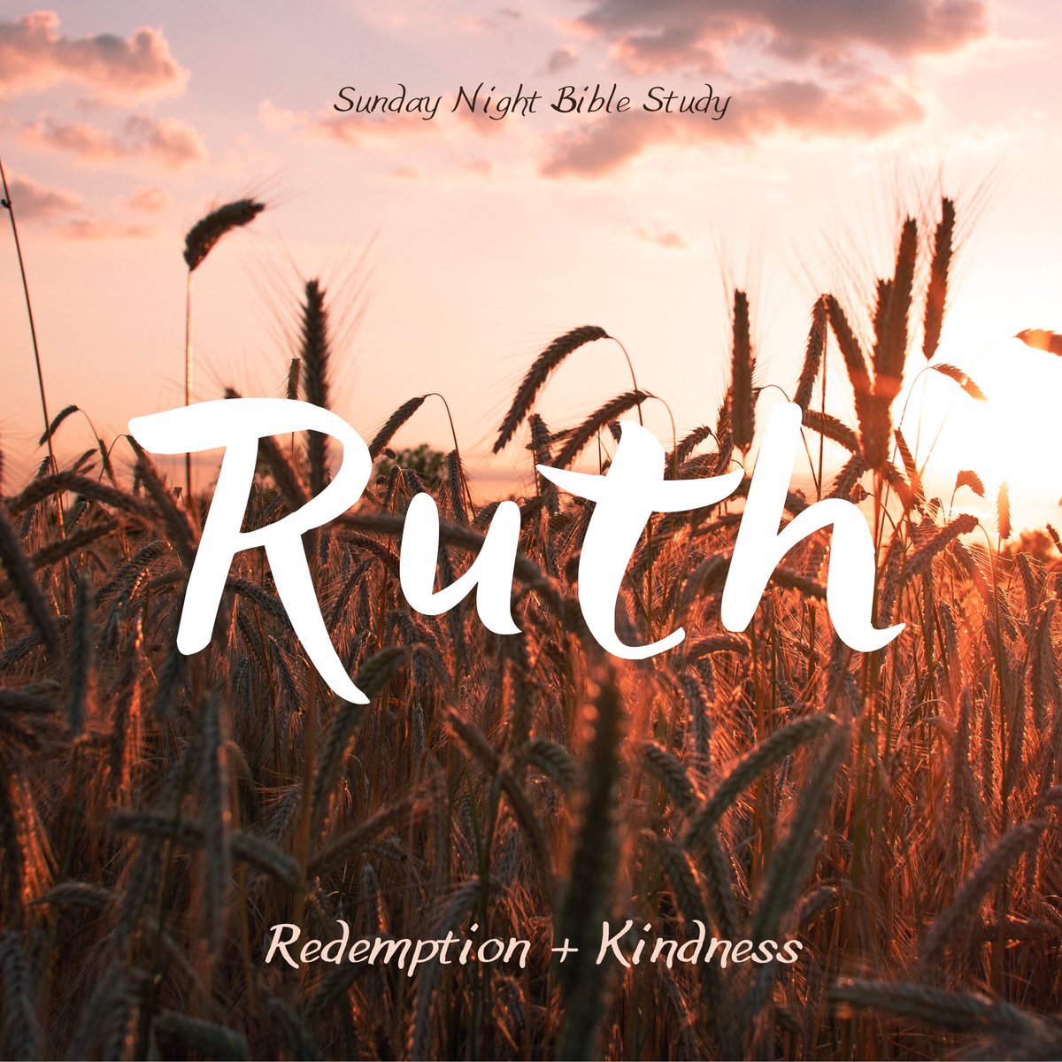 wb_students's tweet photo. Sunday Night Bible Study kicks off THIS Sunday night at 5pm! We will be studying the book of Ruth and its themes of redemption and kindness 🌾 Come join us! https://t.co/SGkh2dcWCm
