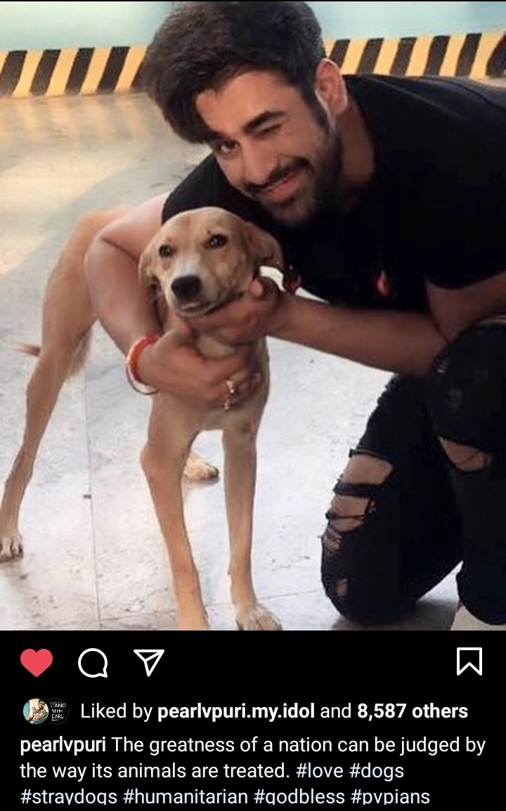 abeermalhotra10's tweet photo. Happy birthday to best Human being PEARL
You are angel 
Happy birthday (hug emogi)
.
.
HAPPY BIRTHDAY PEARL
#PearlVPuri https://t.co/YFKPp1WwWr