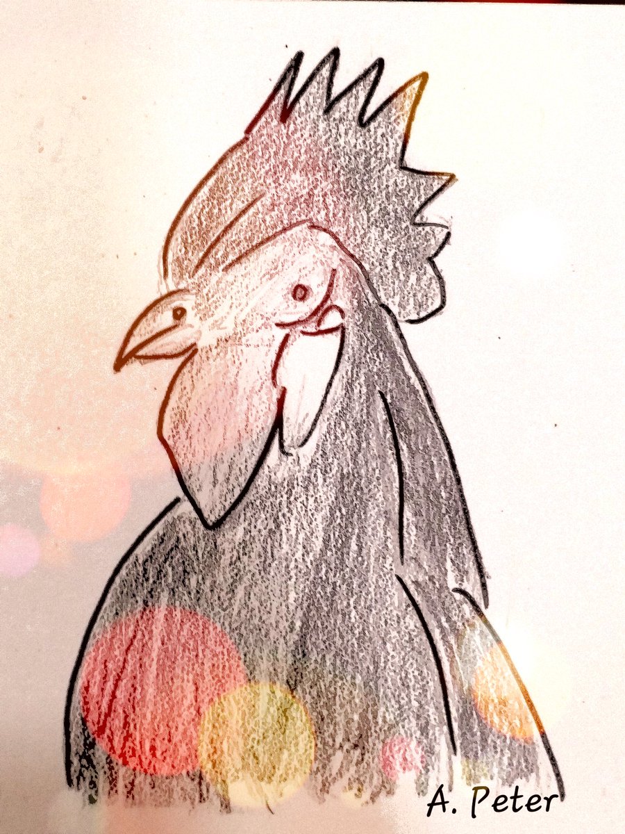 Friends,  the latest episode of The Webs We Weave

When you love a boy called Romeo... 

viewfromthetopofthetank.blogspot.com/2021/07/fishy-…

#syrianchristians #kerala #villagelife #fiction #fishychronicles #rooster #romeo