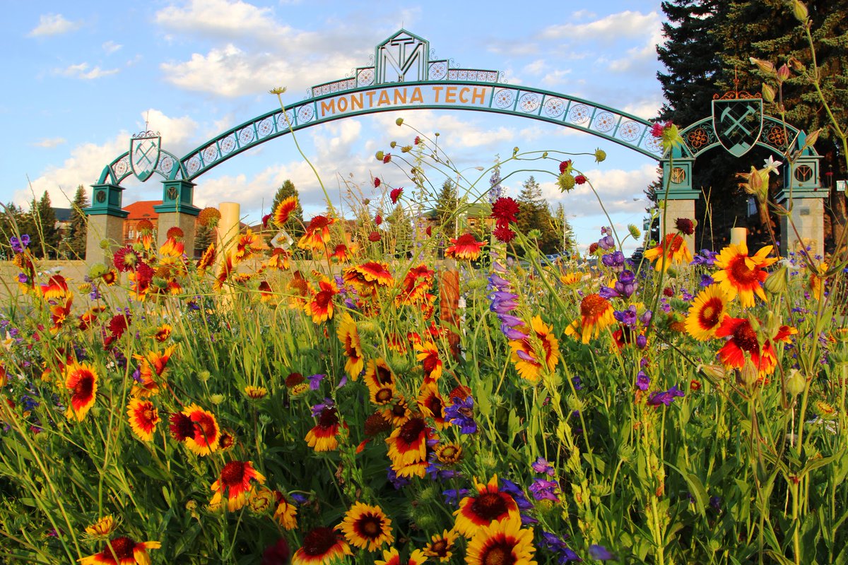 SarahARaymond's tweet photo. We are hiring &amp; I'm looking for someone who wants to be on a career path in Career Services! Montana Technological University is a premier STEM-focused institution in Butte, Montana. Apply online for a Student Career Coordinator (ESC II) to join our team: https://t.co/0E2yc7jSxf https://t.co/mPljXRjcOD
