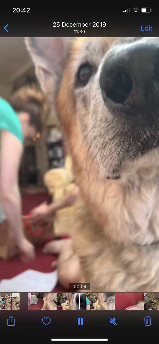 ShepardBeni tweet media