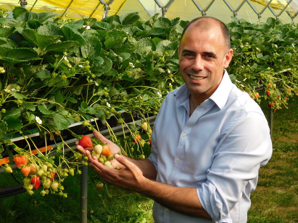 Niab (@niabgroup) on Twitter photo NIAB has a new CEO! Professor Mario Caccamo, currently NIAB Deputy Director & @NIABEMR MD, will take up his new position in October & aims to strengthen NIAB's role as the 'go-to' place for innovation
Congratulations <a href="/mcaccamo/">Mario Caccamo</a> niab.com/news-views/new… NIAB has a new CEO! Professor Mario Caccamo, currently NIAB Deputy Director & @NIABEMR MD, will take up his new position in October & aims to strengthen NIAB's role as the 'go-to' place for innovation
Congratulations <a href="/mcaccamo/">Mario Caccamo</a> niab.com/news-views/new…