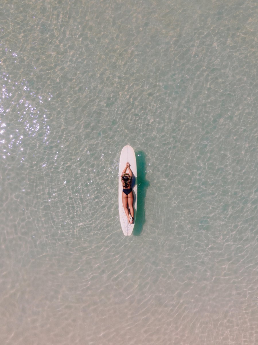 The Laylow tweet media