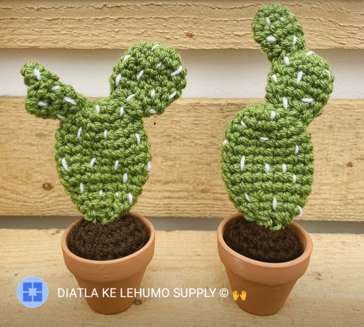 Mankgokgoro's tweet photo. 🌵 🌵 

Proudly hand-made 🙌

#creativity #knitstyle #Tree #itstartswithourvision https://t.co/TspMVc15QW