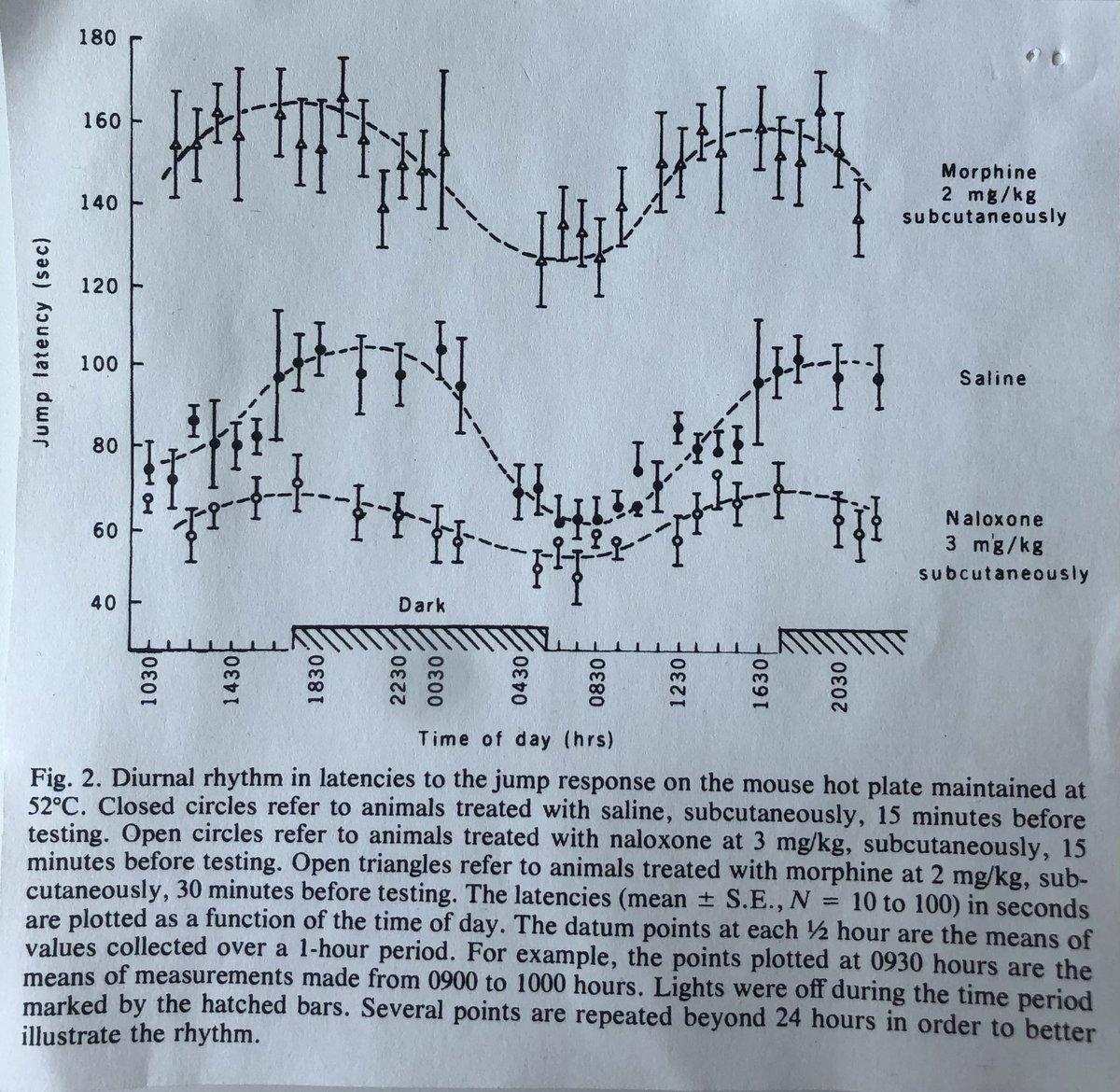 Same for those testing “analgesics” in the light phase on their sleepy mice ... “oh it’s sleeping w eyes closed, just poke it a little first then test” 🙄
