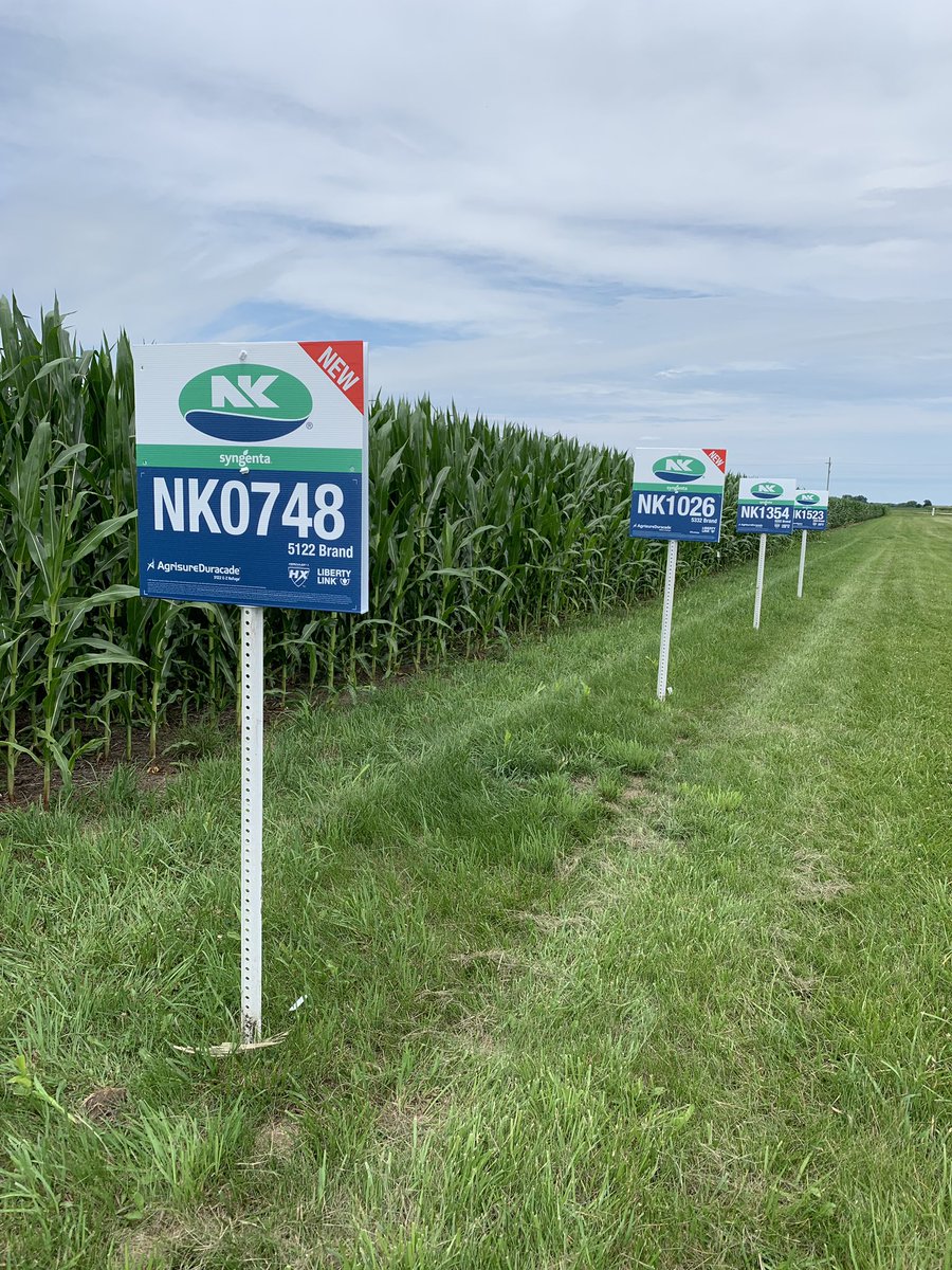 <a href="/AgViewFS/">Ag View FS</a> Holz corn plot looking 🔥 in Toluca, IL! #scoutNK21 #NKWay <a href="/kbent211/">Kayla Allen</a>