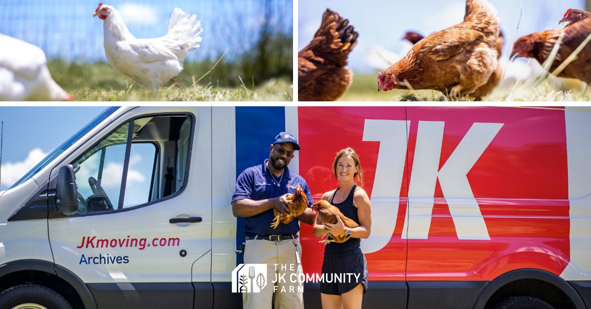 jkmoving's tweet photo. We can move just about anything -- including these adorable chickens for @JKCommunityFarm. We safely relocated Henifer Aniston, Hen Solo, Bradley Coop-er, and friends to the #JKFarm (and we sanitized the van after). https://t.co/OkBCiYSQ1I