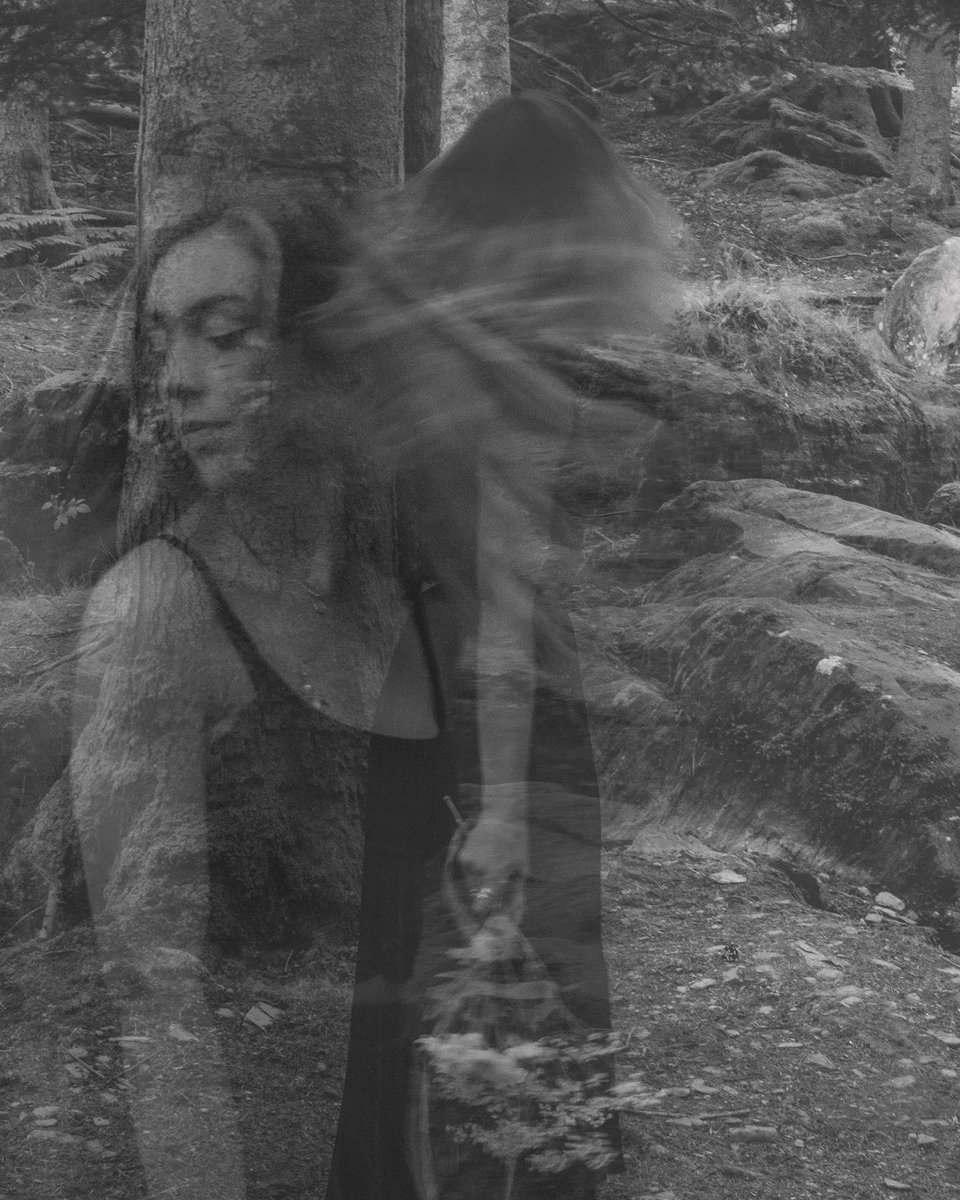 Laura Mae Rees tweet media