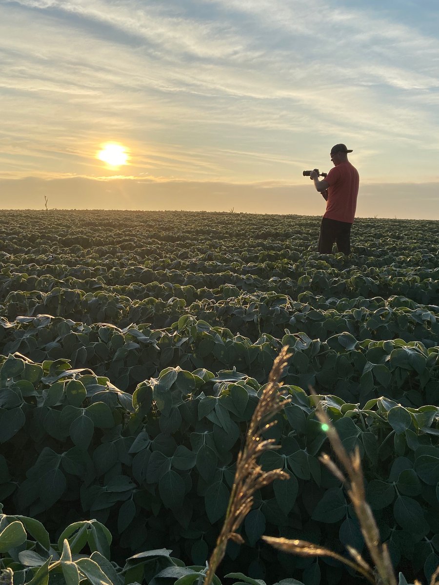 Cosmic Sauce tweet media