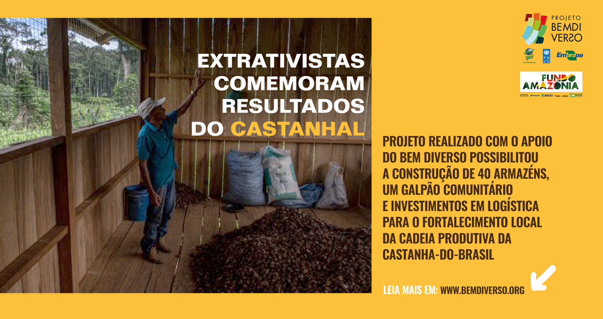 BemDiverso's tweet photo. Moradores do Seringal Porvir, localizado na Reserva Extrativista Chico Mendes, no Território Alto Acre e Capixaba, estão comemorando os resultados do projeto “Castanhal - uso sustentável da sociobiodiversidade”. 
Saiba mais: https://t.co/QalWSzC2YT
#BemDiverso #Embrapa #Pnud #Gef https://t.co/nTTL6re3ij