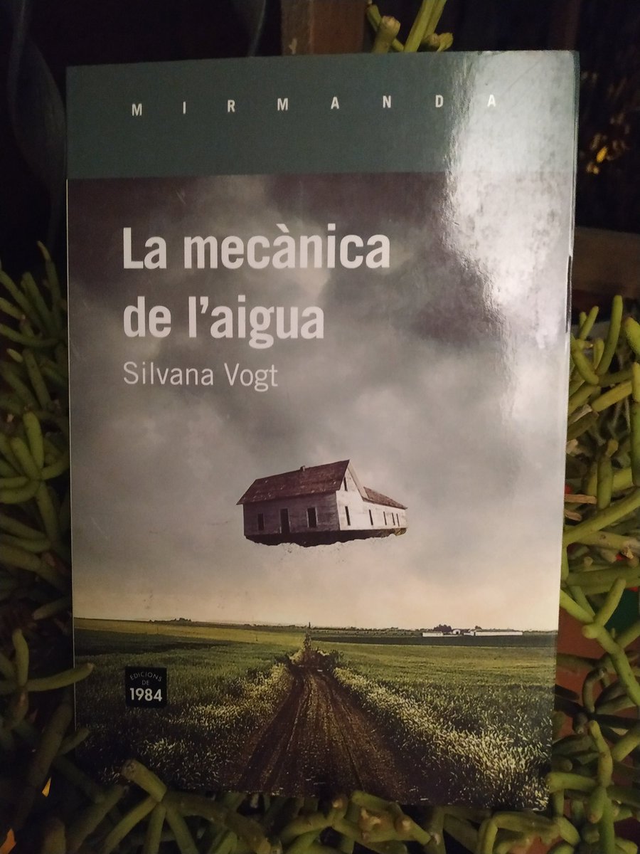ladylibrorojo's tweet photo. "Mai no ha pogut relacionar-se amb els homes amb la mateixa naturalitat amb què ho fa amb els gossos. Potser perquè ella sí que sap bordar"
#LaMecànicaDeLAigua @VogtSilvana
Ella. La Vera.
3 pàgines i la veig.
#boom💥
(lectura del llibre d'una amiga #mode_on) https://t.co/YkWQLcy7Mc