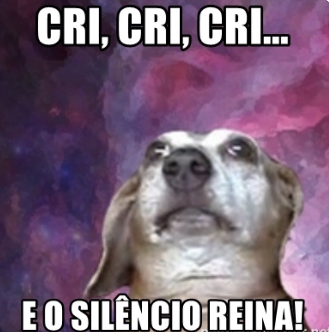 integral_mun's tweet photo. (ONU MULHERES)
Última sessão do comitê inicia novamente com pedidos de pronunciamentos das nações que não se manifestaram até agora.
#miniintegralmunVII #pronunciamento
Maria Eduarda Rocha https://t.co/jVB2Ix4bXV