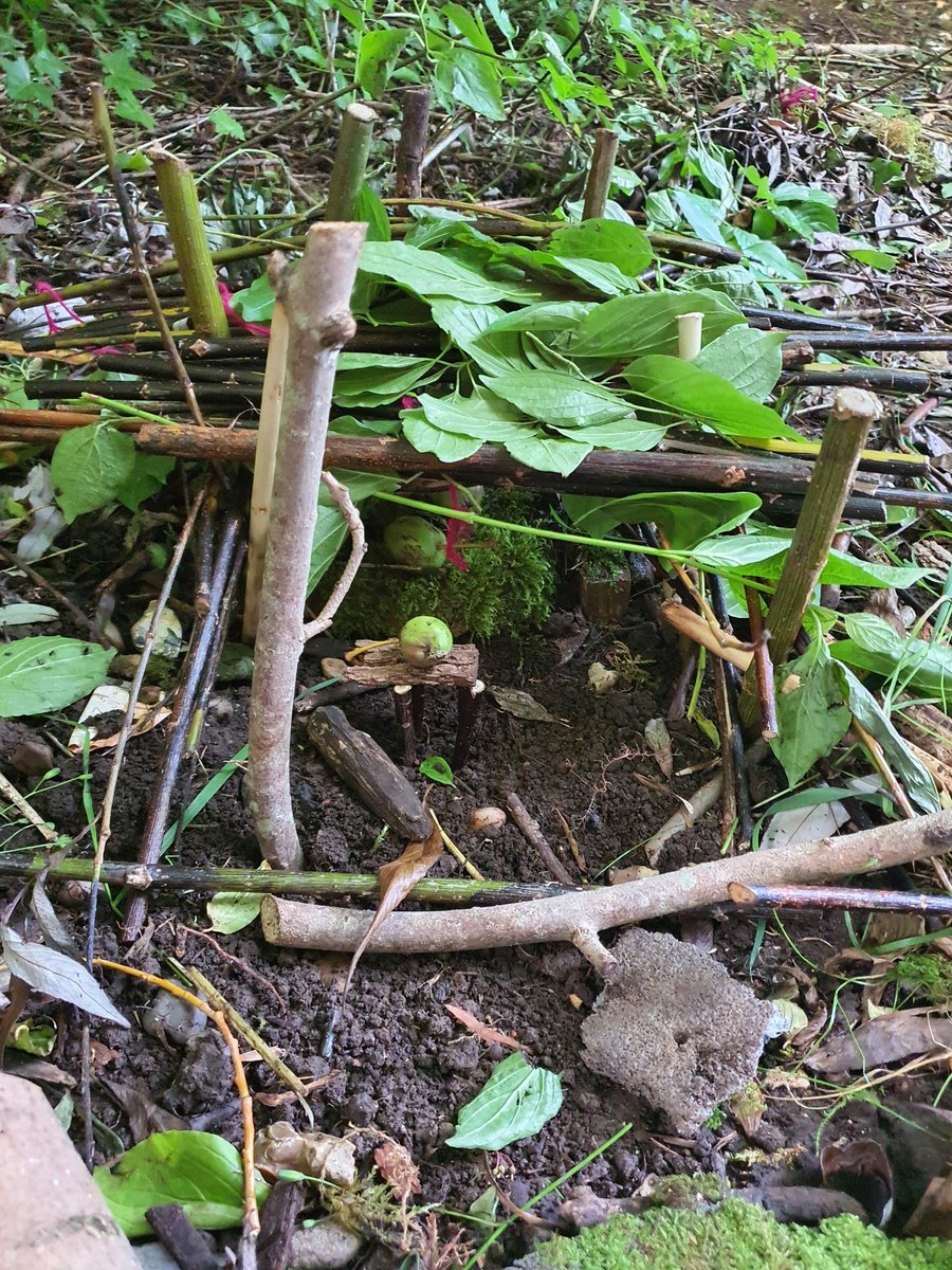 Great wild life houses from some of our year 3s.