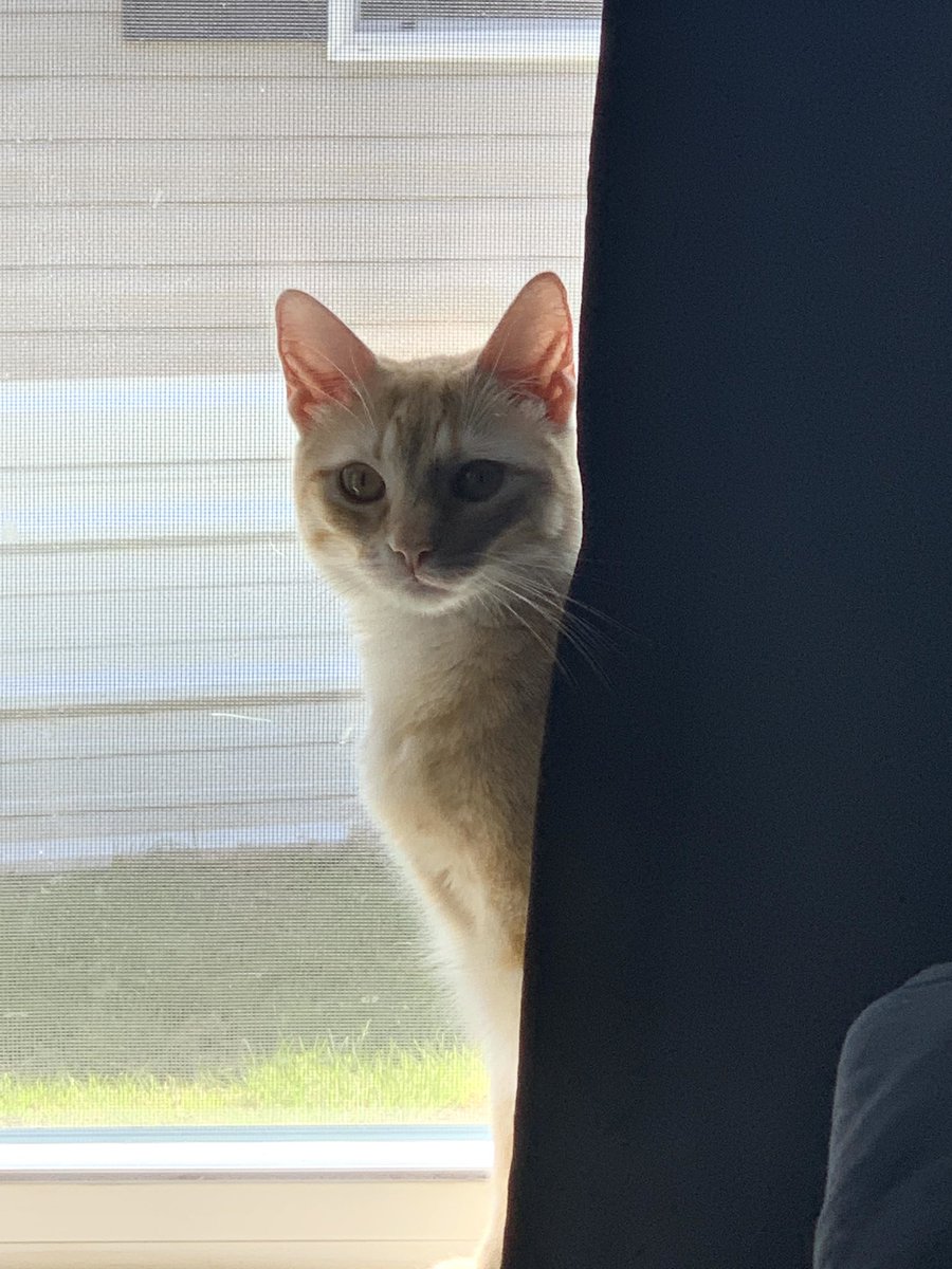 Dylan Hart tweet media