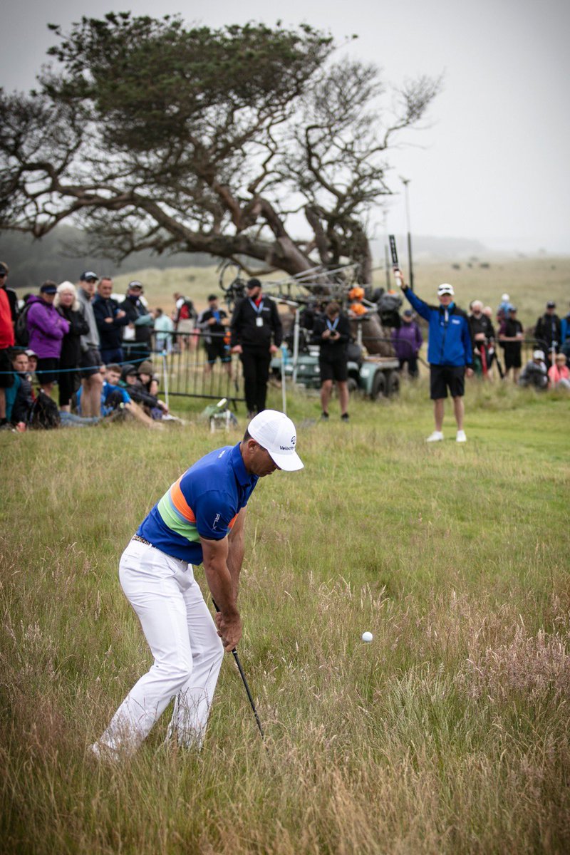 The Renaissance Club tweet media